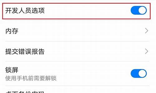 华为手机开发者选项哪里找_华为手机开发者选项从哪里打开