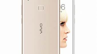 vivo手机V3MA锁屏密码忘了_vivo v3ma忘记解锁密码